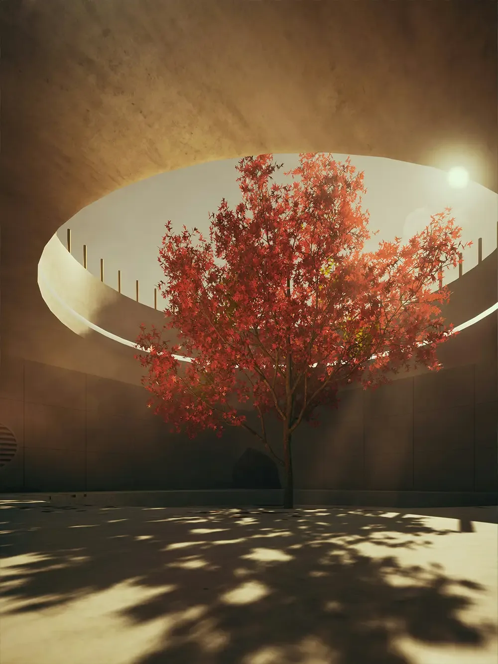 Innenhof mit kreisförmiger Öffnung im Dach, durch die Sonnenlicht auf einen Baum mit roten Blättern fällt. Wände und Boden aus glattem Beton.