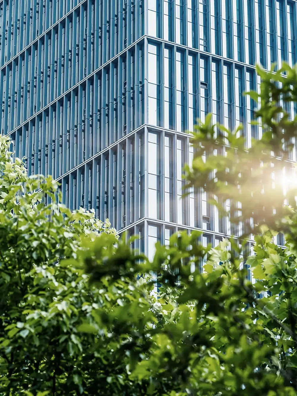 Moderner gläserner Bürogebäudekomplex, teilweise verdeckt durch grüne Bäume, mit Sonnenlicht, das durch das Laub scheint.