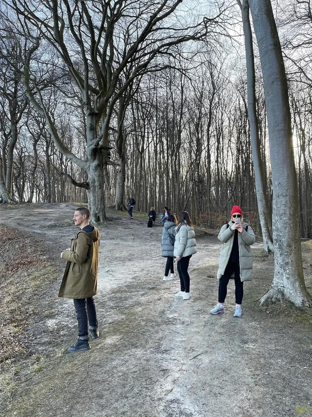 Drei Personen spazieren durch einen dichten Wald, umgeben von hohen Bäumen und grüner Vegetation.